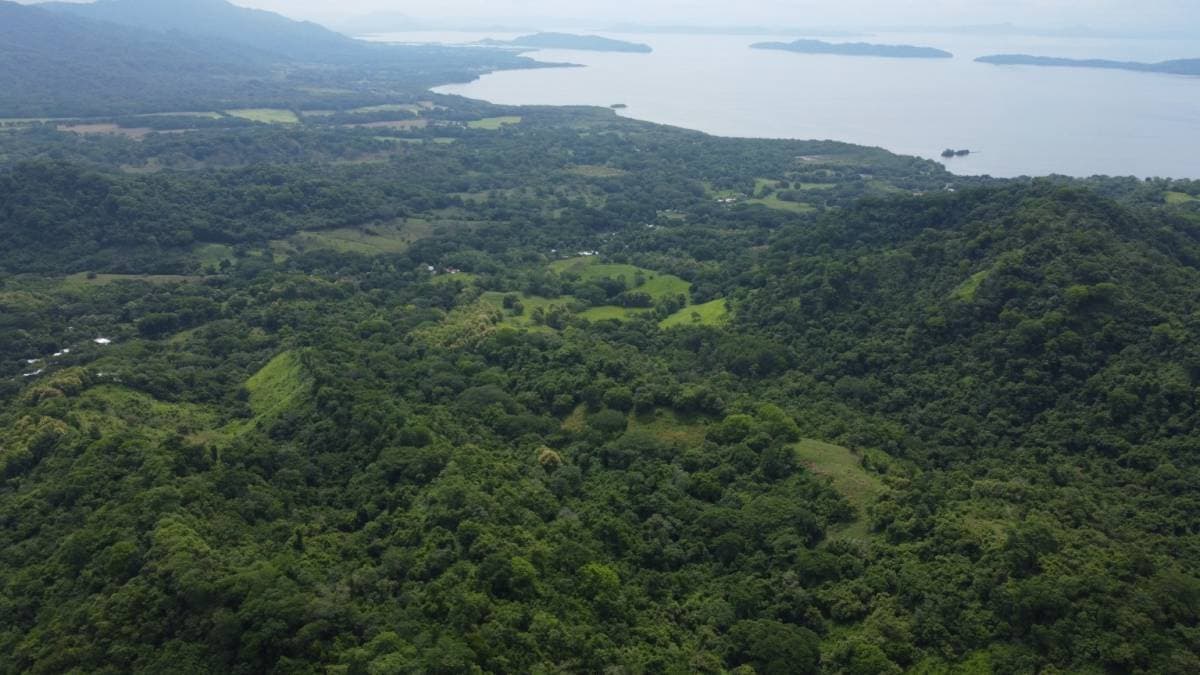 Property at Lepanto
