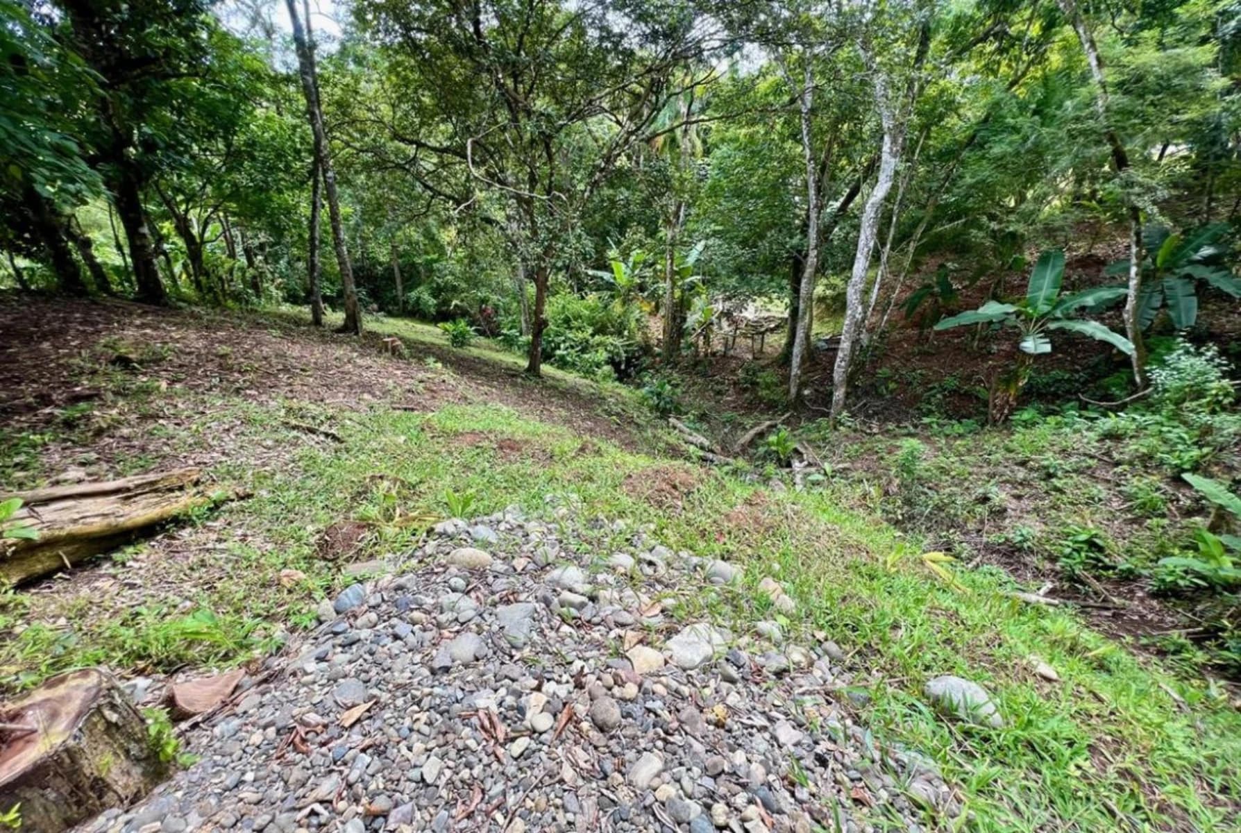 Land at Quepos