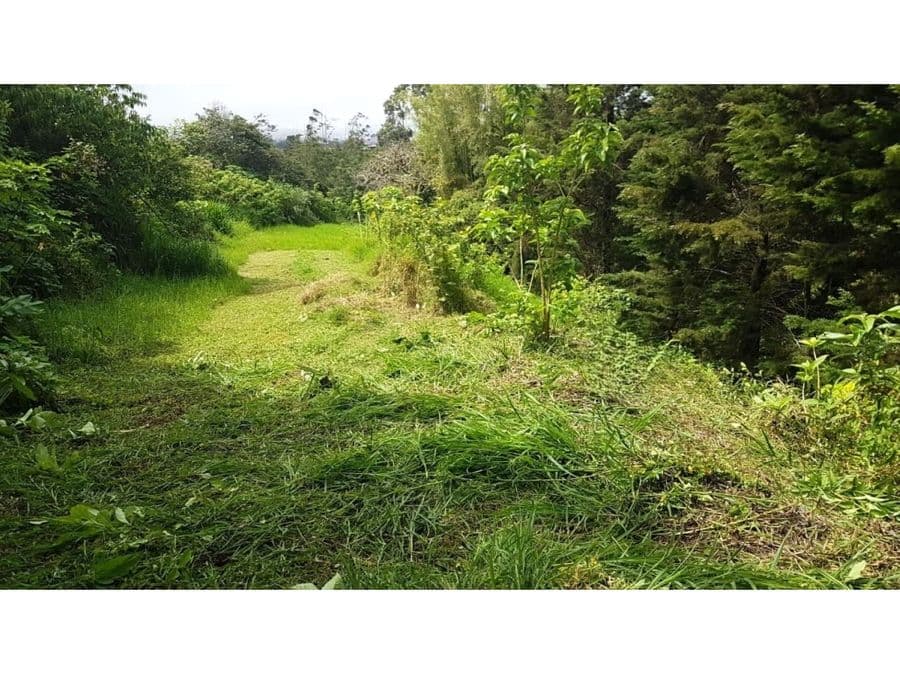 Terreno en San Jerónimo