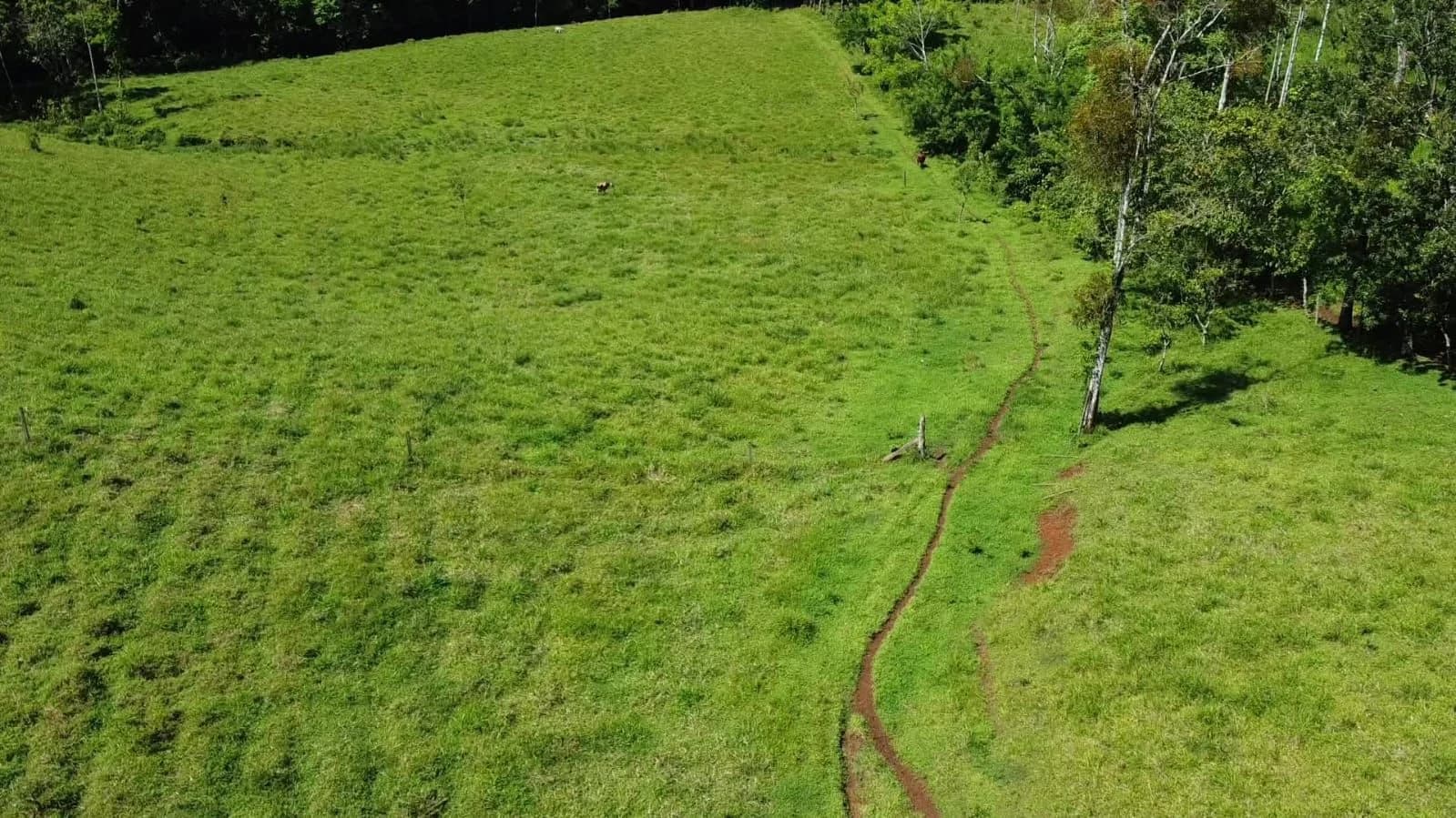 Property at La Palmera