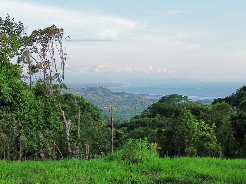 Terreno en Bahía Ballena