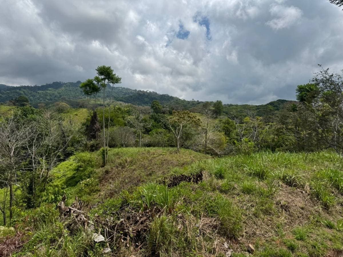 Propiedad en Chontales