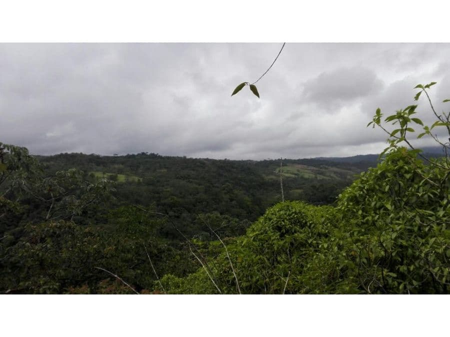 Property at Alajuela