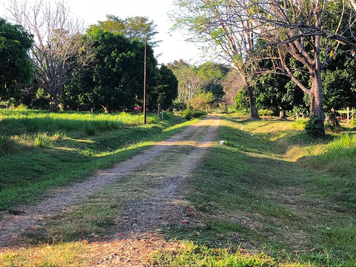 Land at Osa