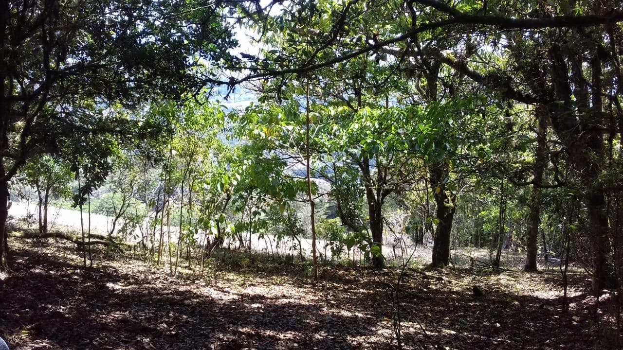 Land at Quebradillas