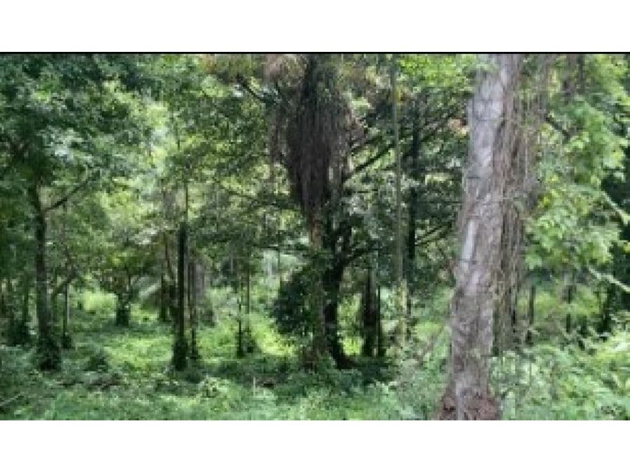 Terreno en Quintas Casa De Campo