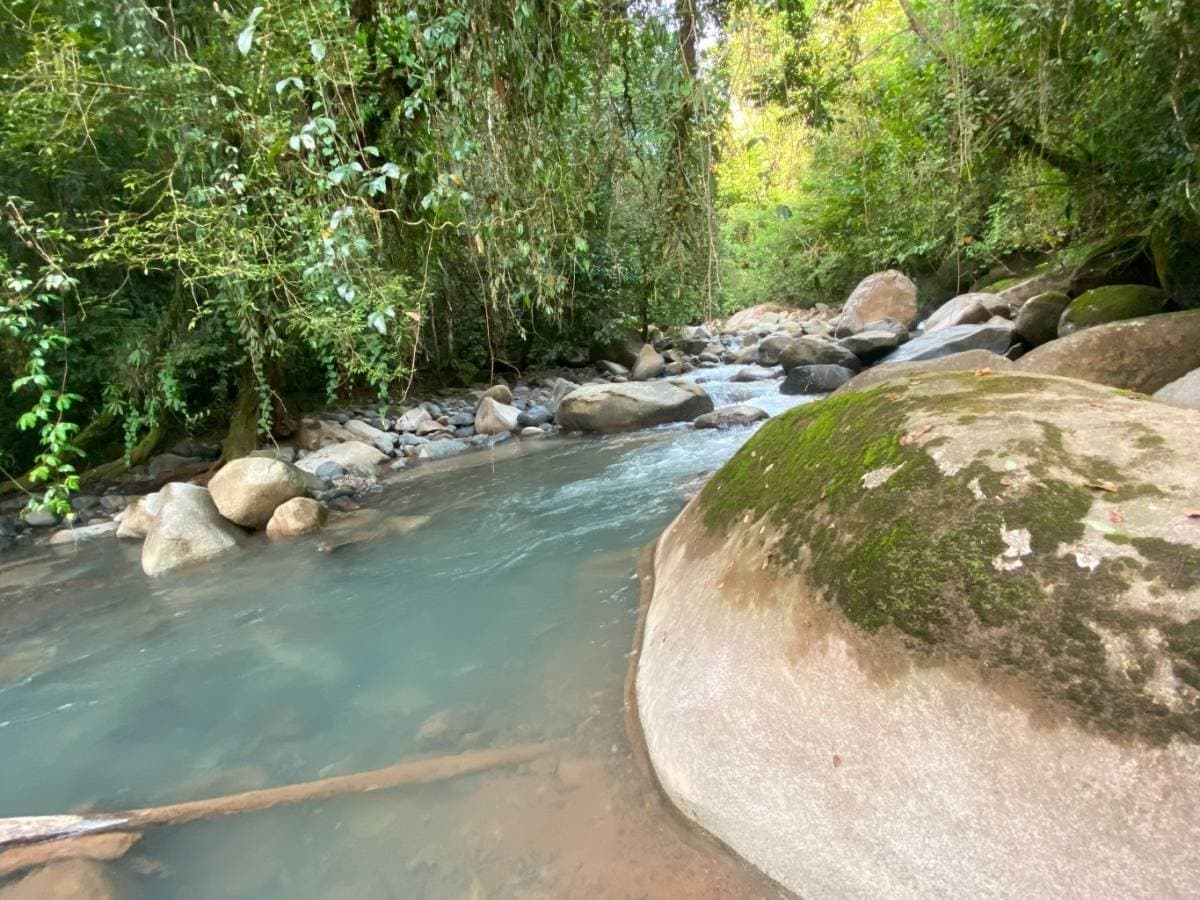 Property at San Isidro del General