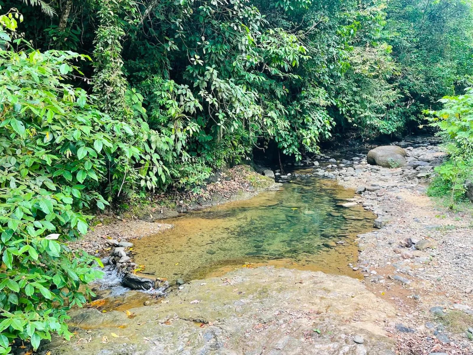 Land at Quepos