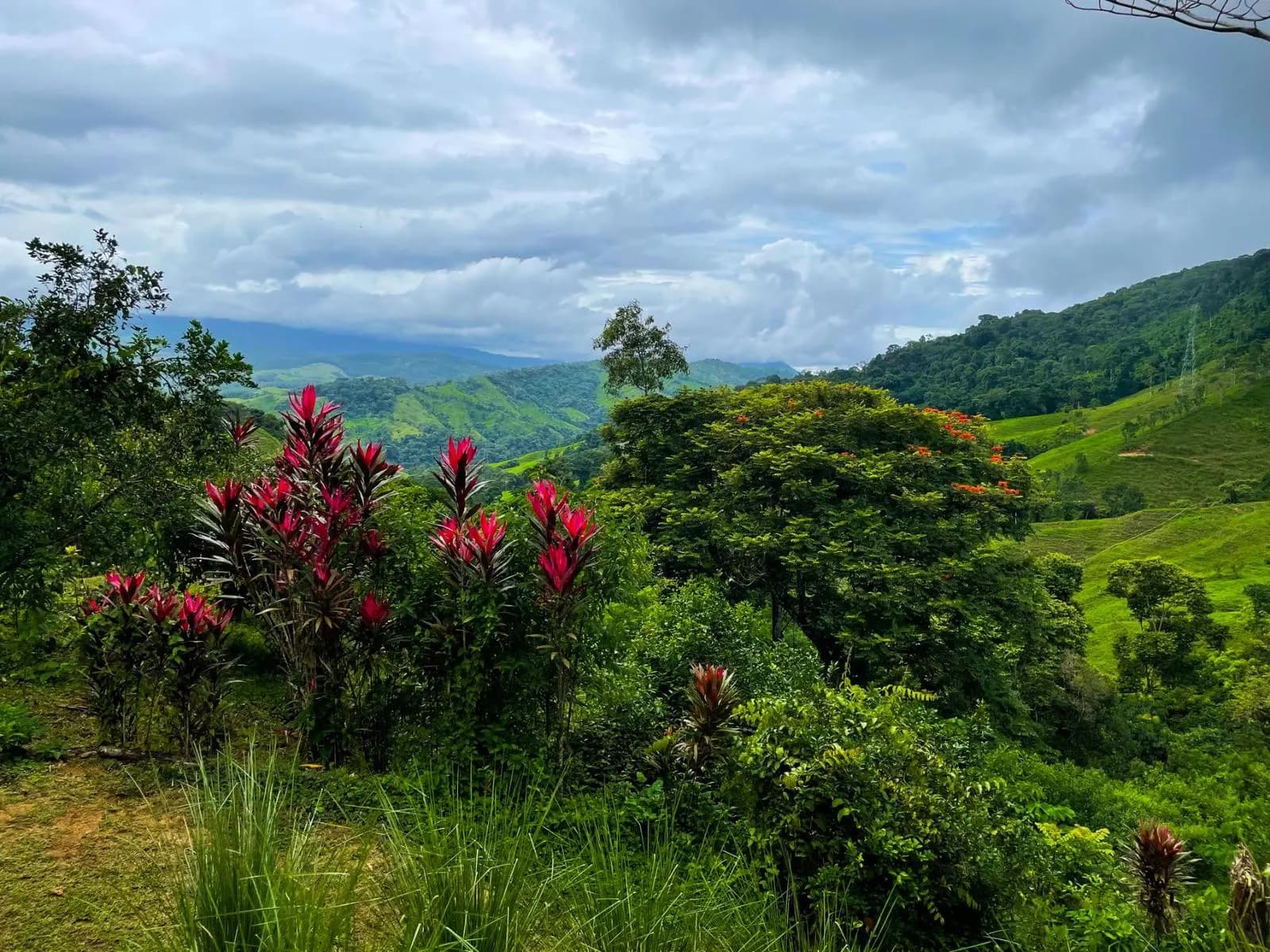Land at Quepos