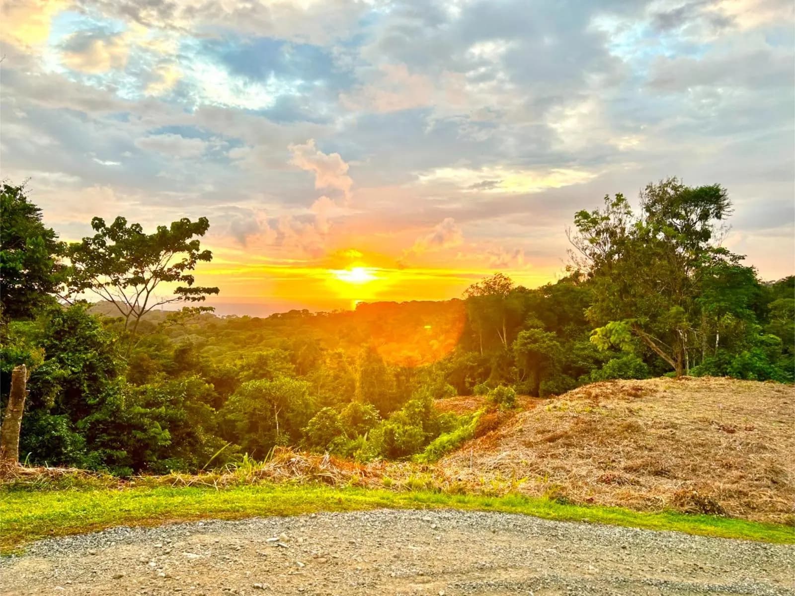 Terreno en Bahía Ballena