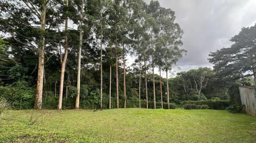 Terreno en Tres Ríos
