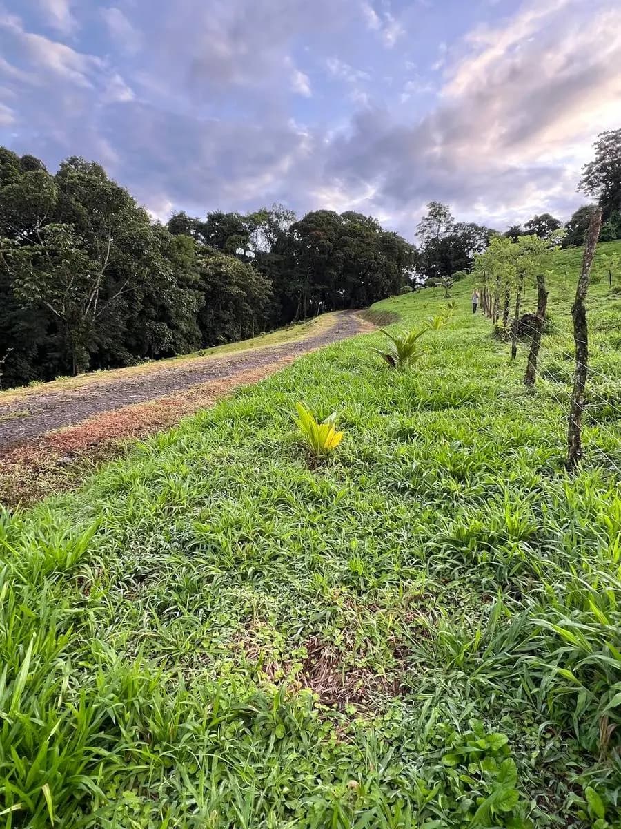 Land at Arenal