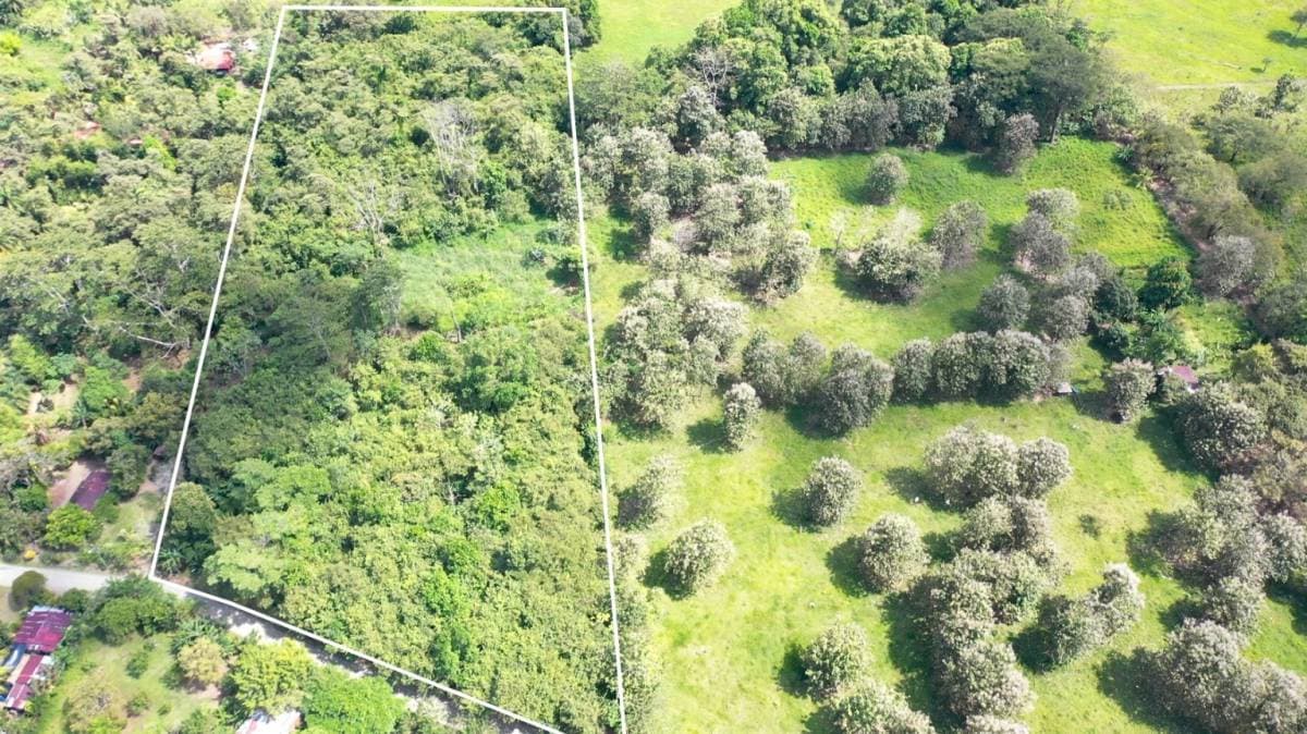 Property at Matapalo
