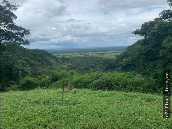 Land at Liberia