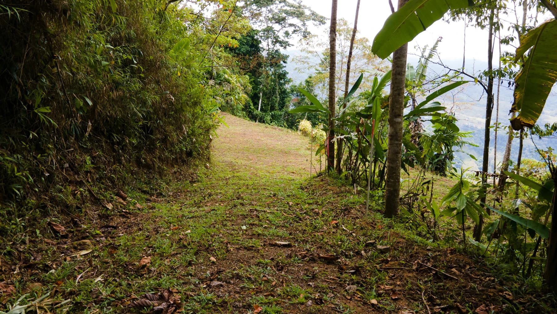Terreno en Bahía Ballena