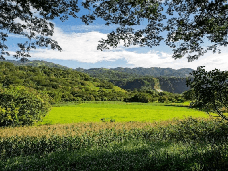 Commercial at Picagres