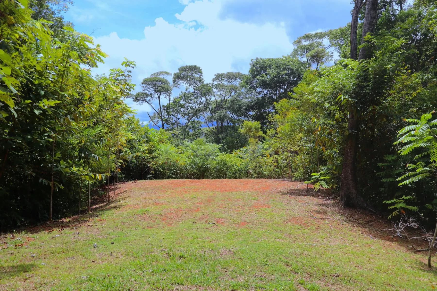 Terreno en Bahía Ballena