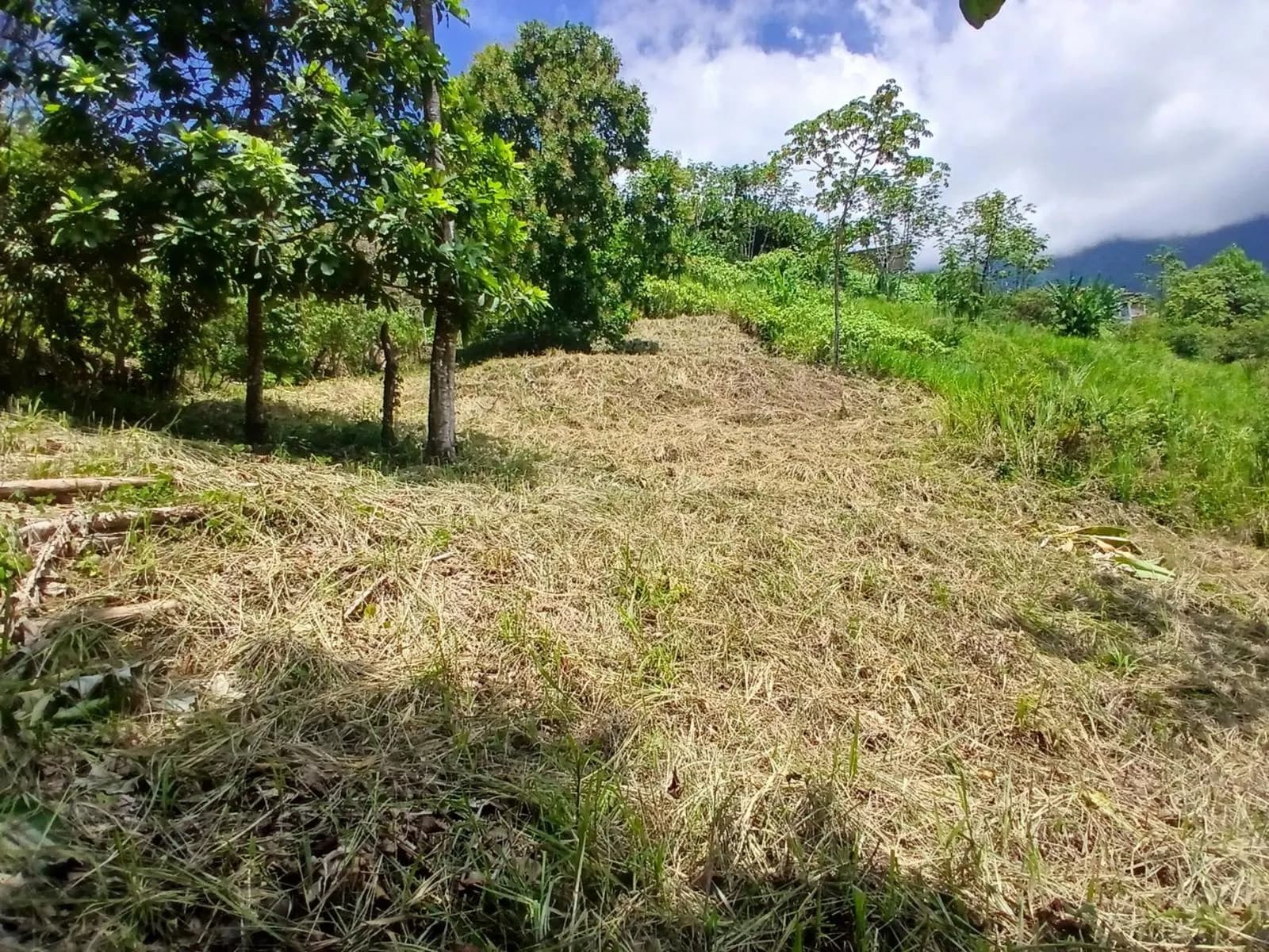 Terreno en Puerto Cortés