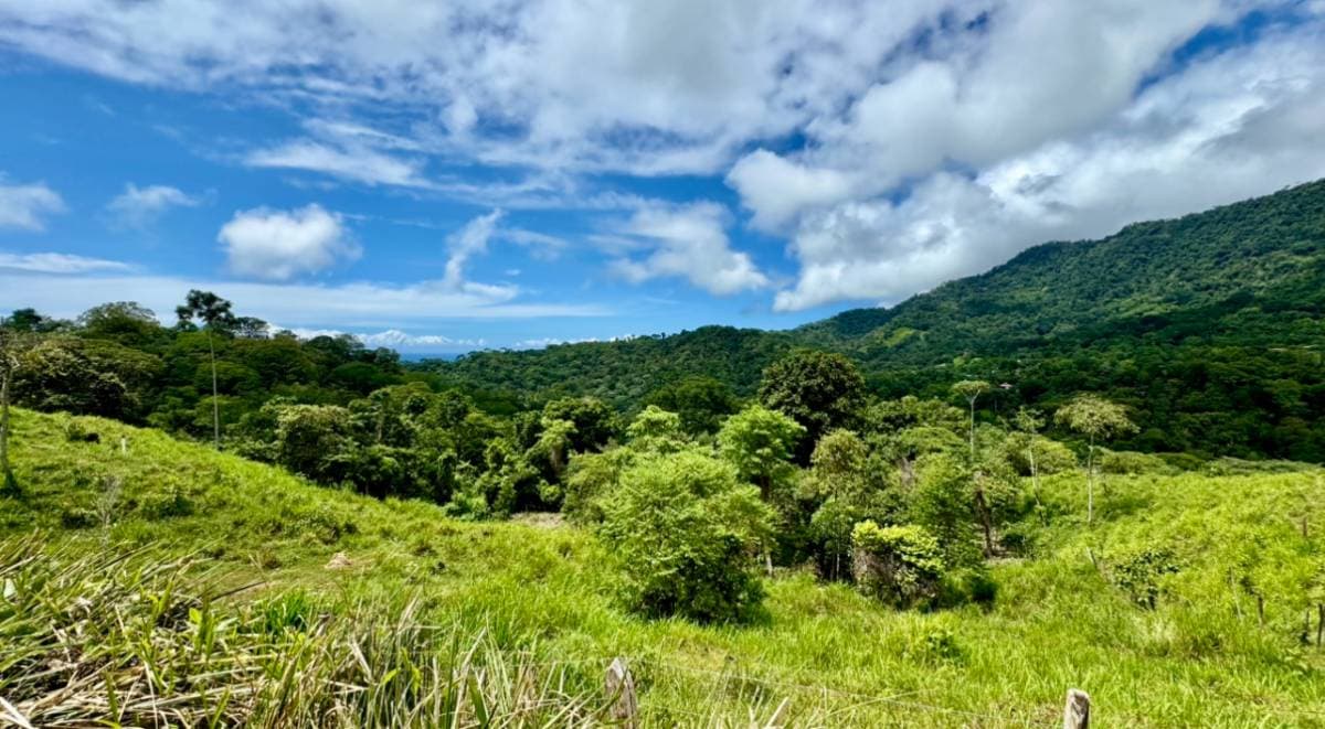 Propiedad en Uvita