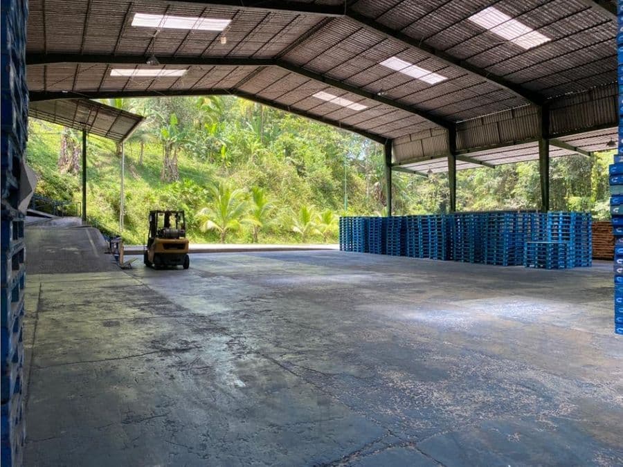 Warehouse at Limón