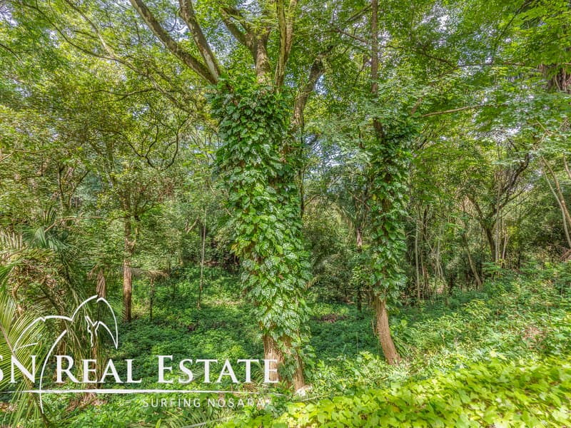 Terreno en Nosara