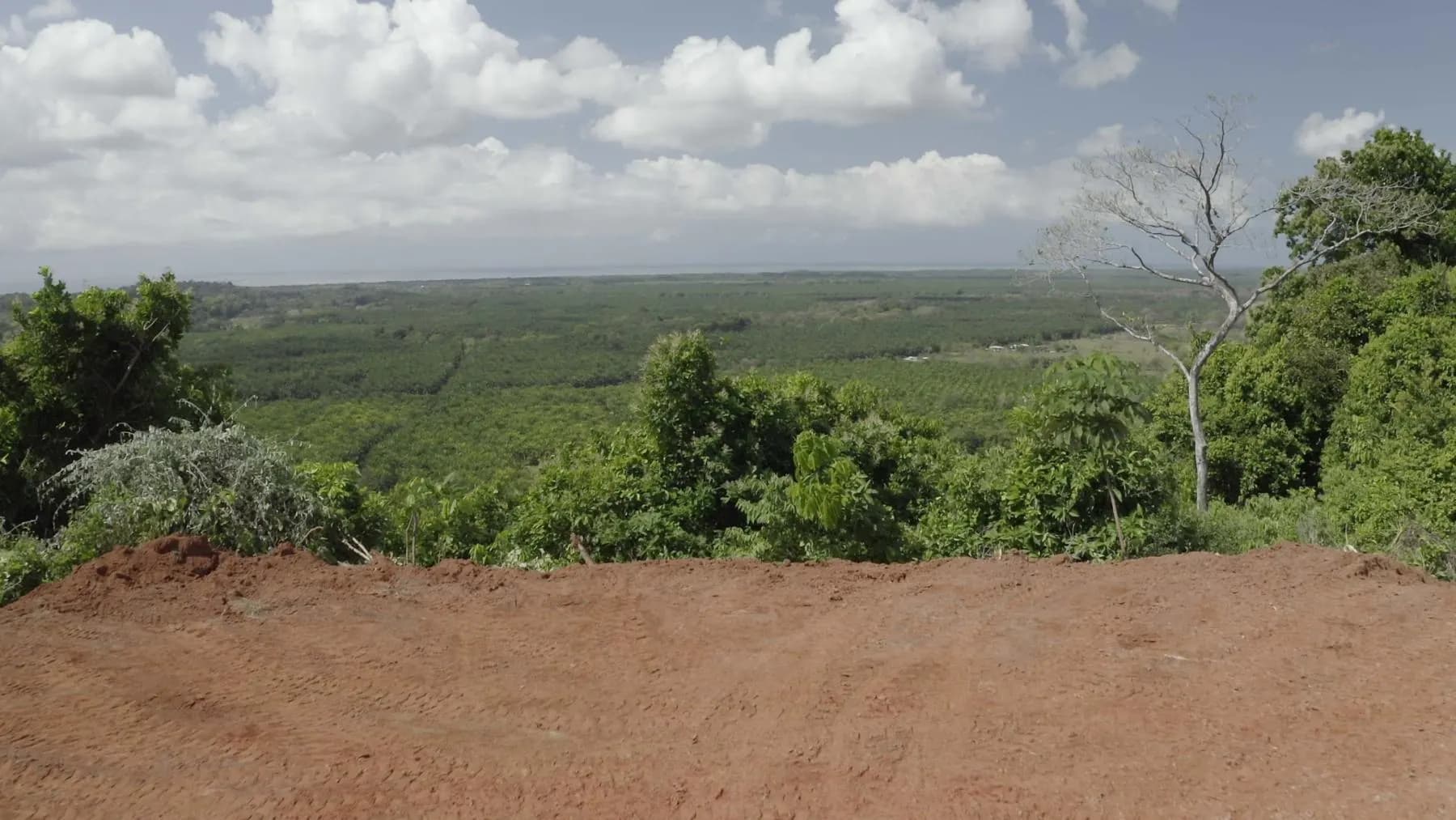Land at Quepos