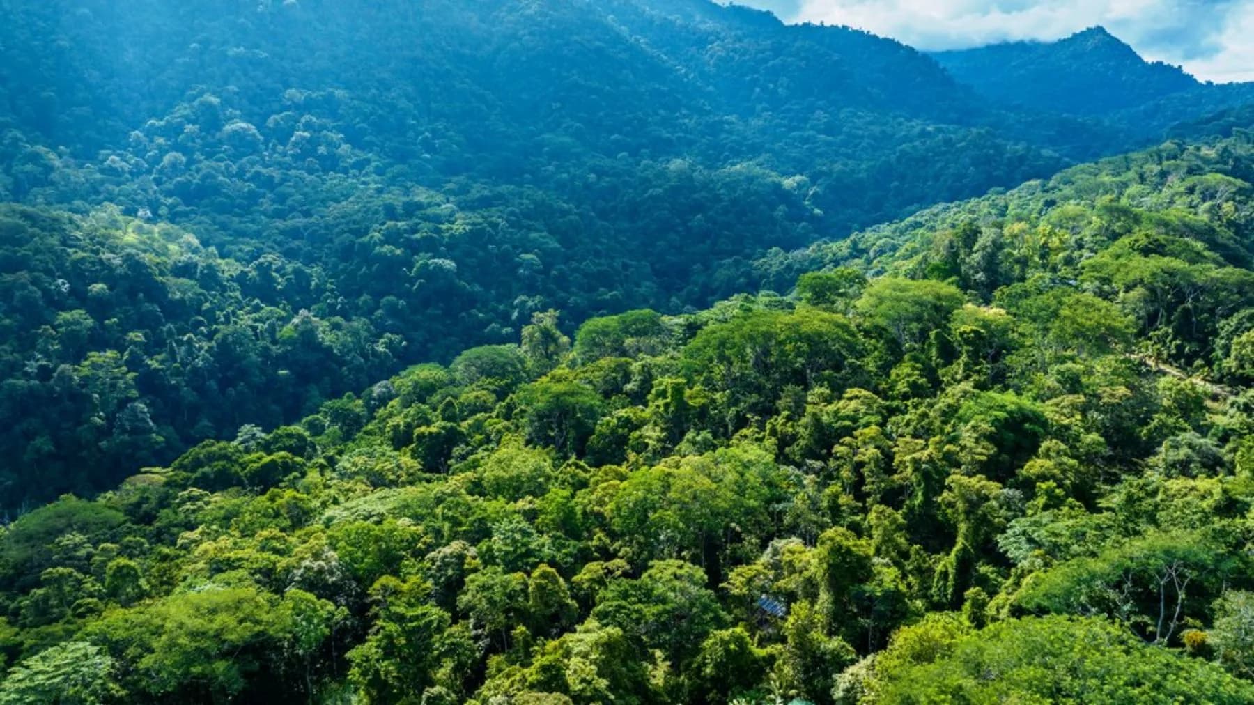 Terreno en Bahía Ballena