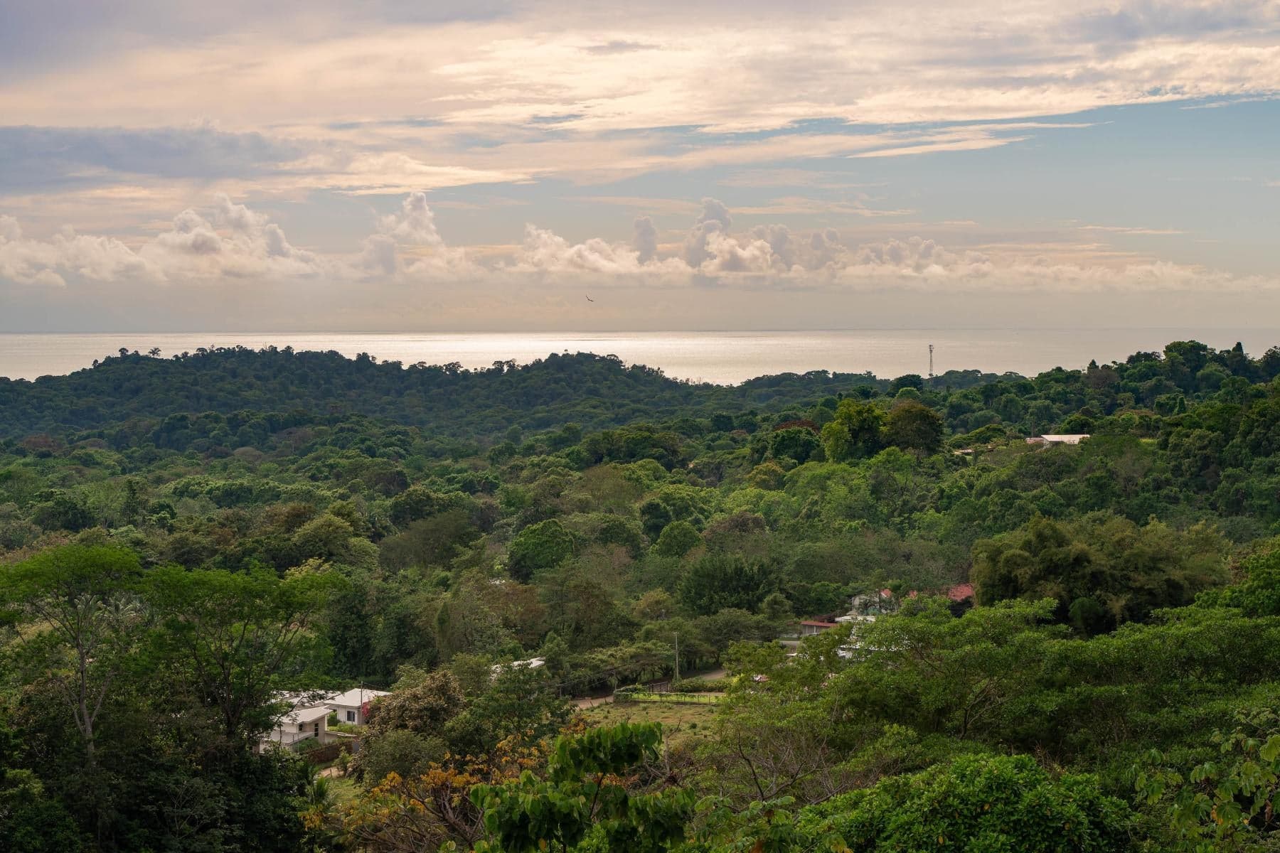 House at Bahía Ballena