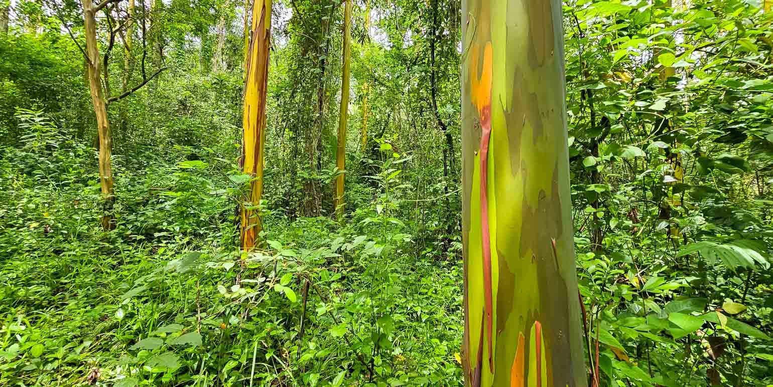 Property at Santiago