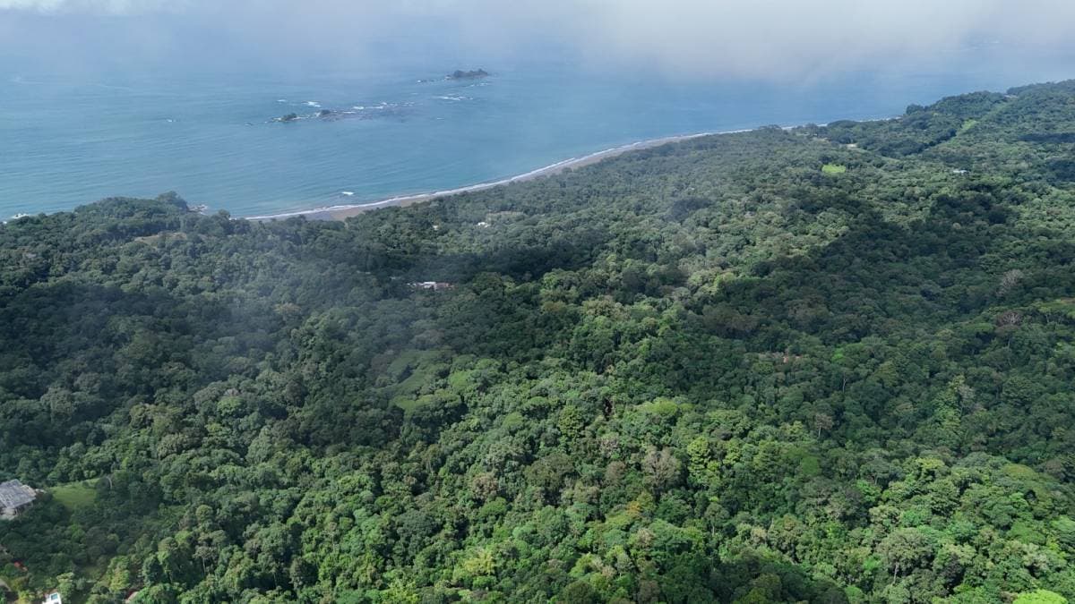 Estate at Bahía Ballena