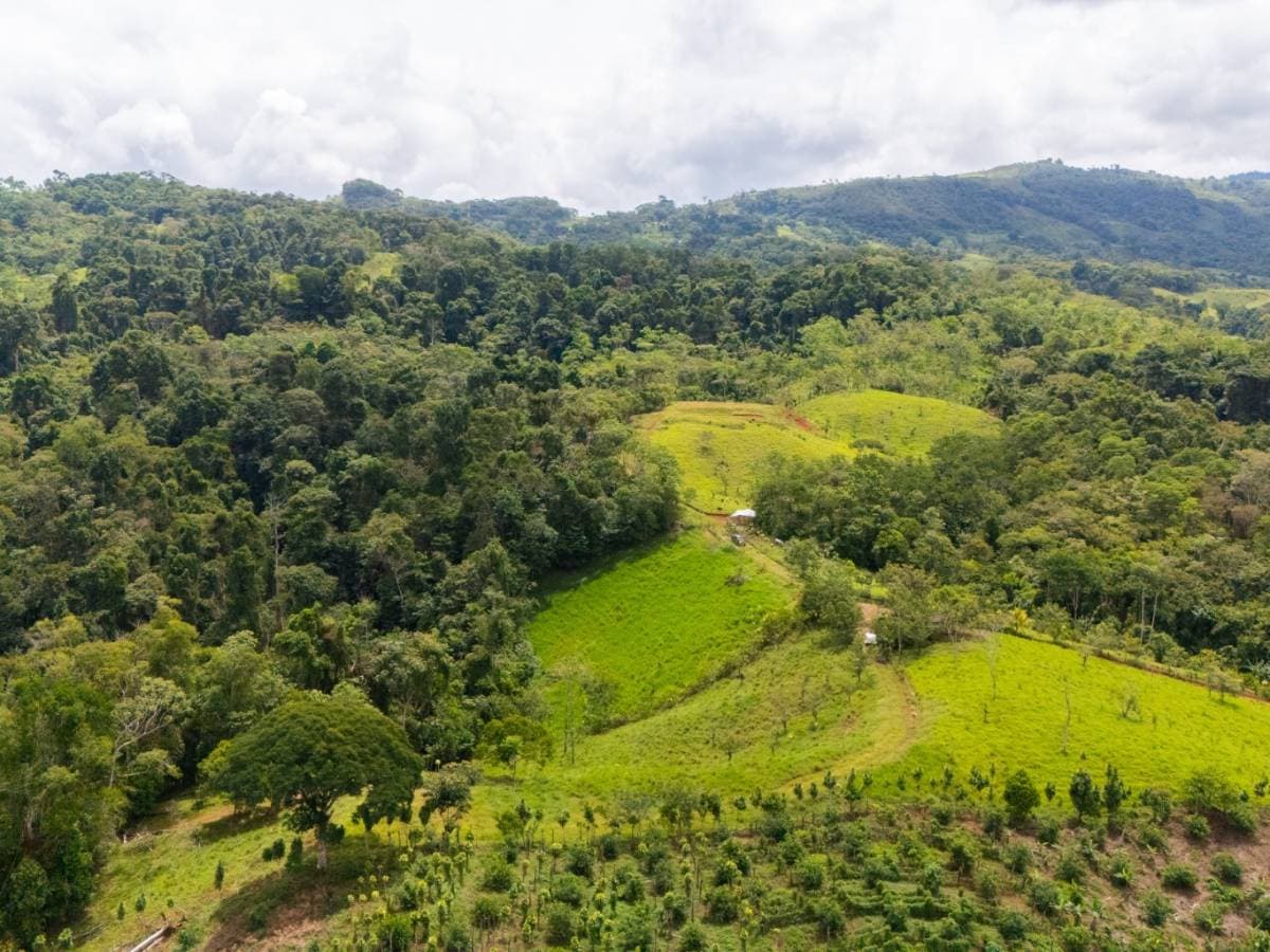 Estate at San Isidro del General