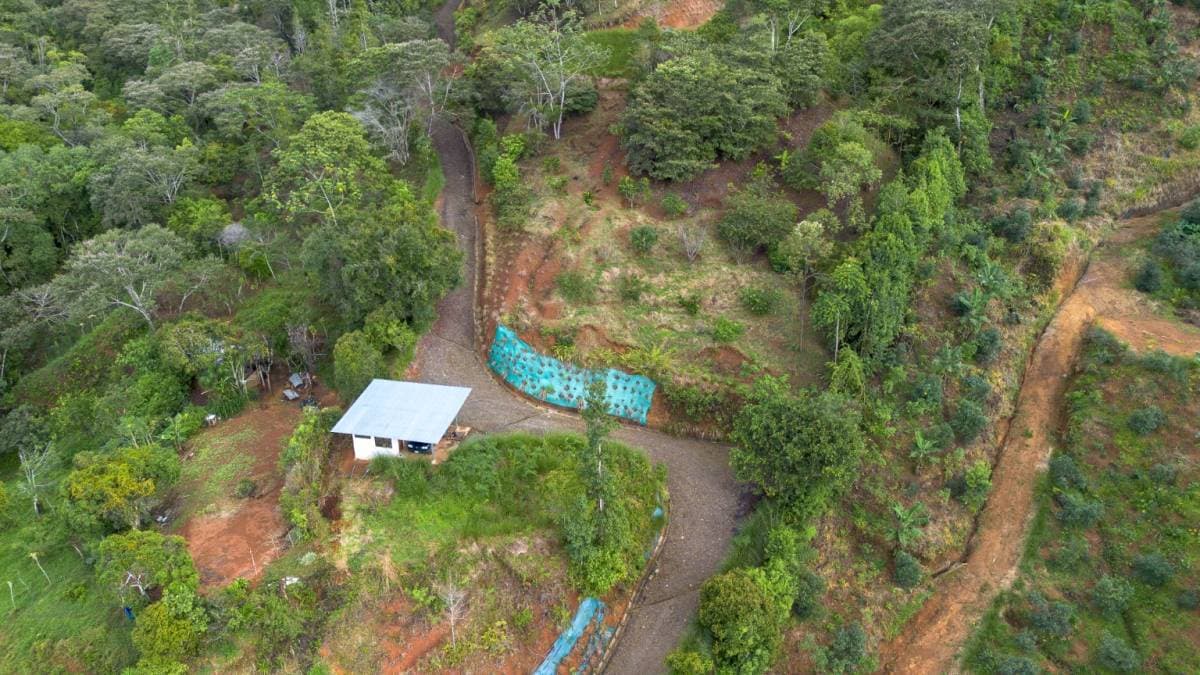 Estate at San Isidro del General