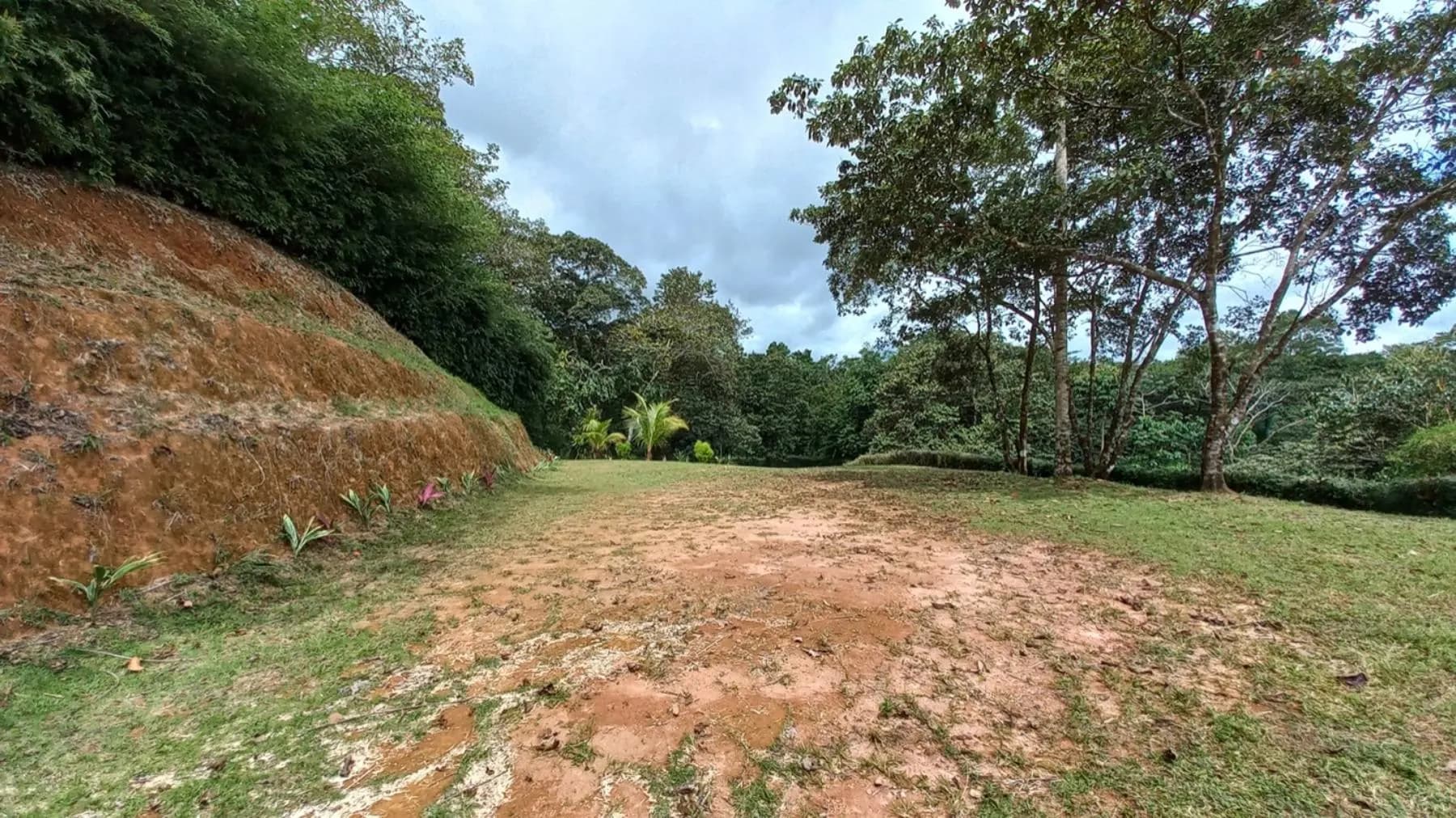 Terreno en Puerto Cortés