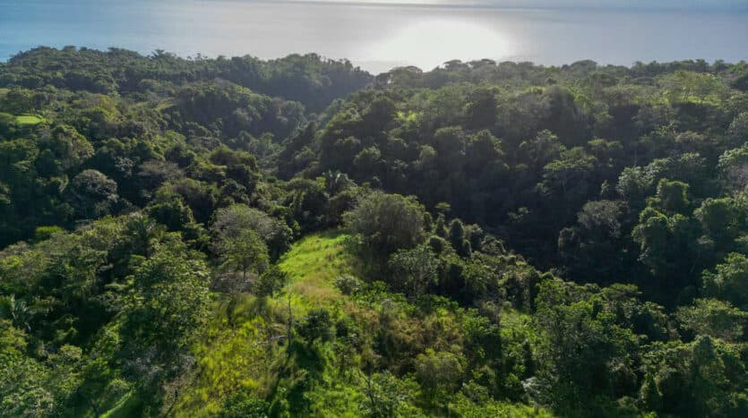 Land at Las Delicias