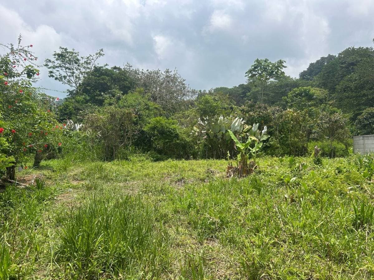 Propiedad en Uvita