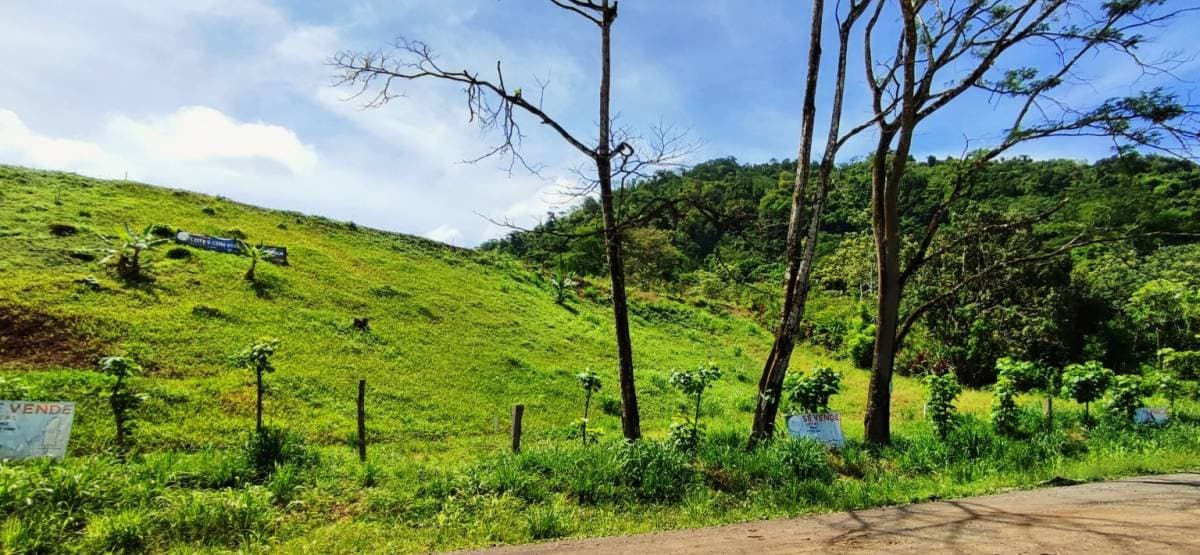 Propiedad en Punta Leona