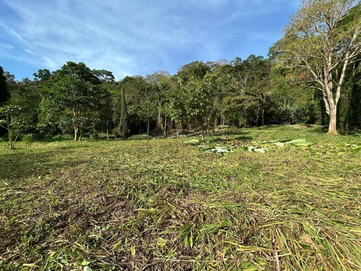 Property at Hone Creek