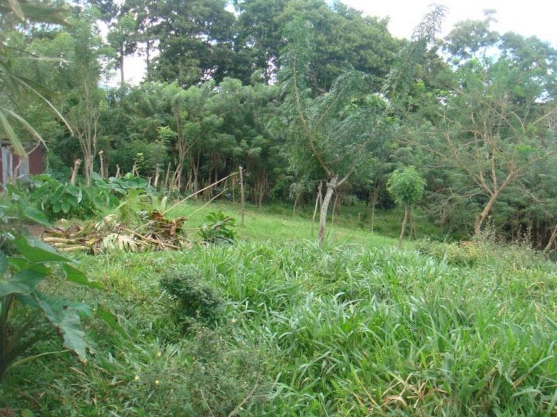 Land at Pozos