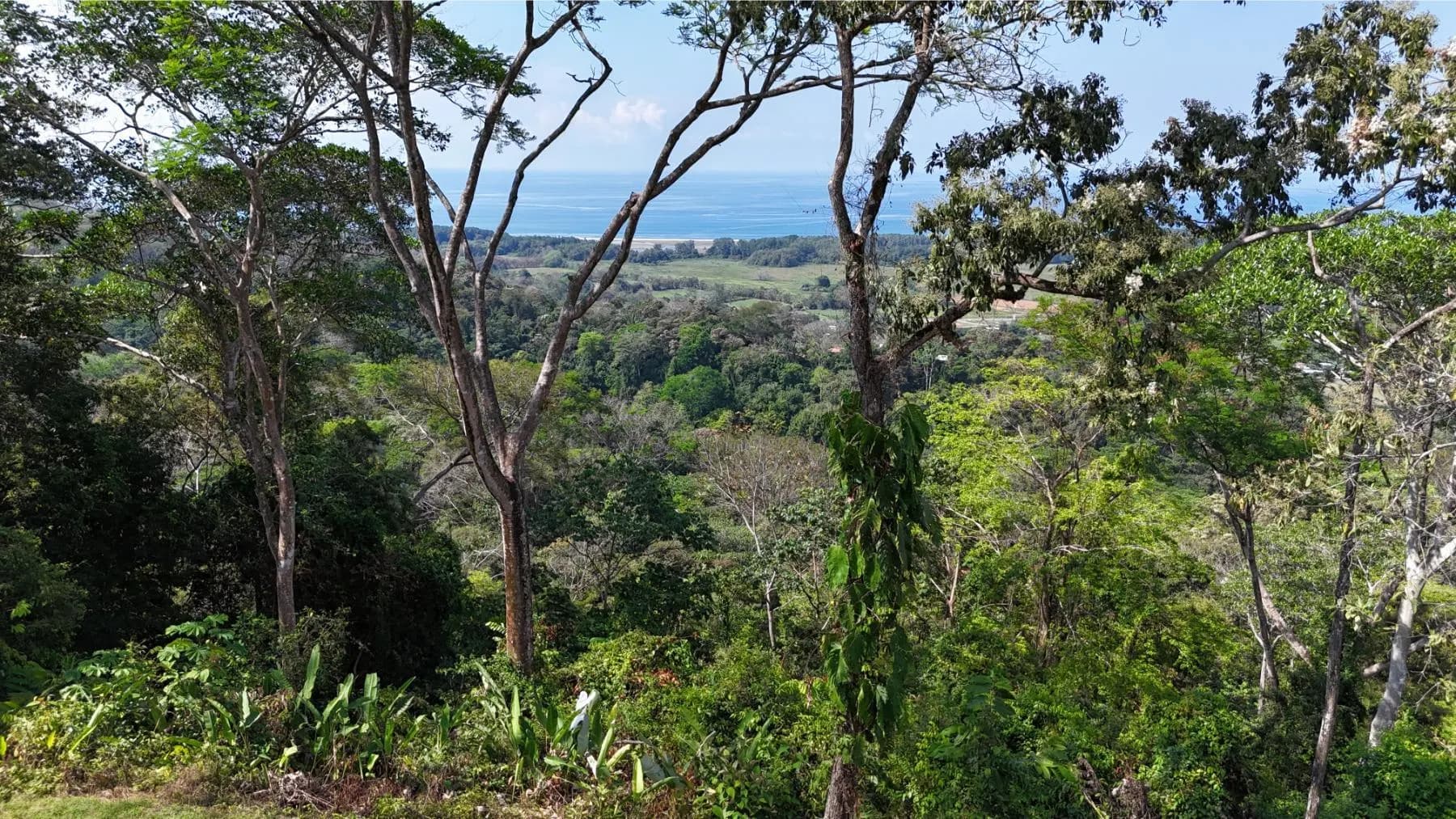 Land at Quepos