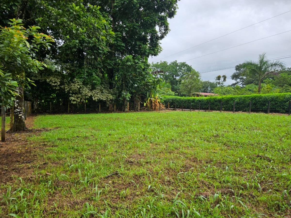 Property at La Fortuna