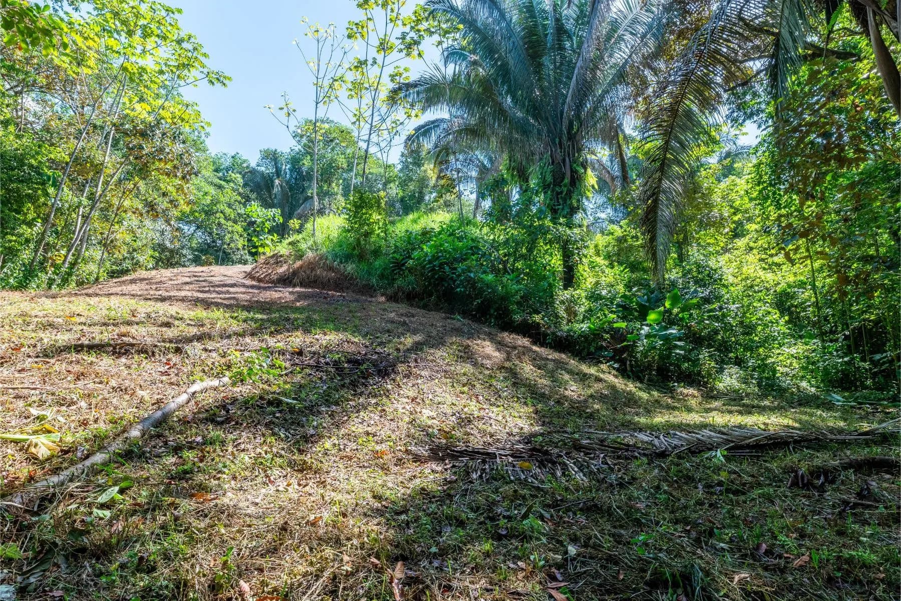 Terreno en Bahía Ballena