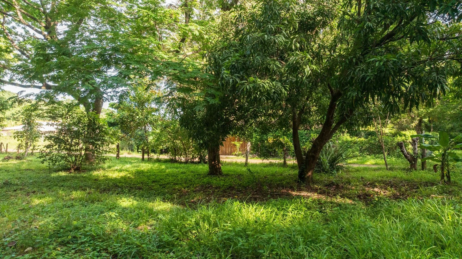 Land at Tamarindo