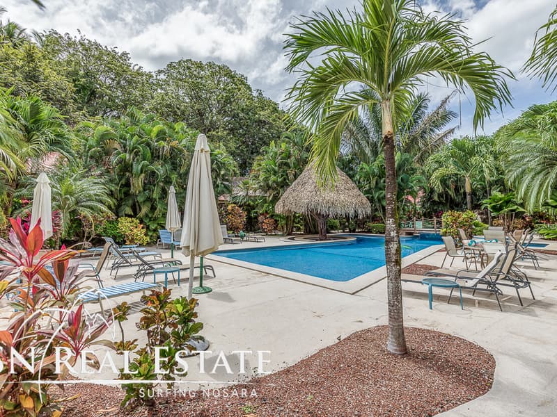 Property at Nosara