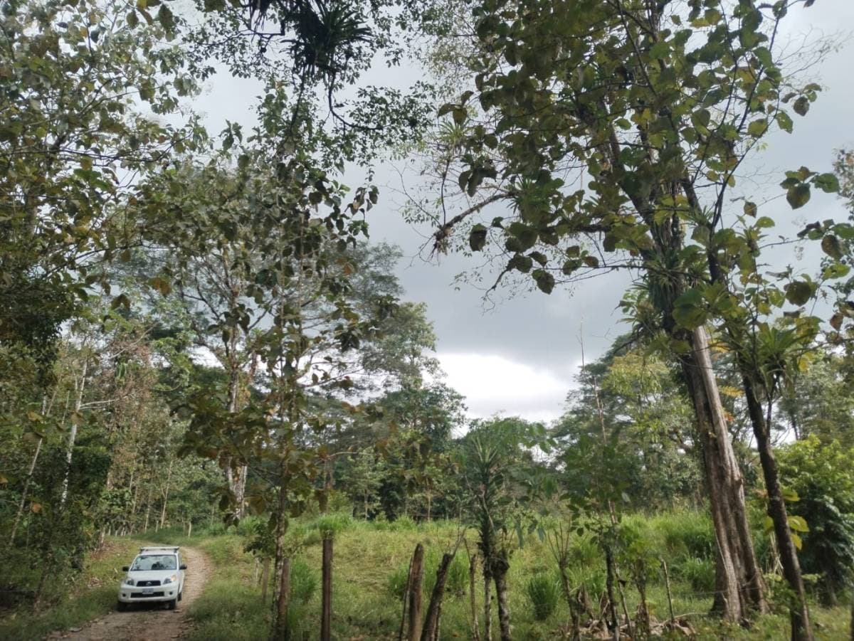 Property at Parrita