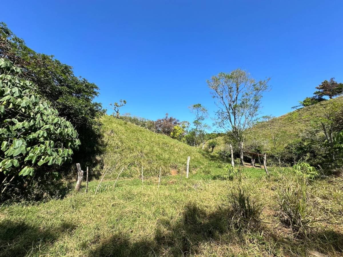 Estate at San Isidro del General