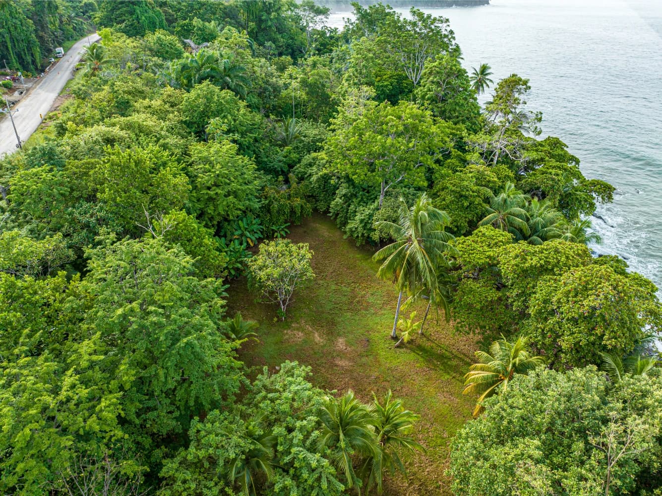 Terreno en Bahía Ballena