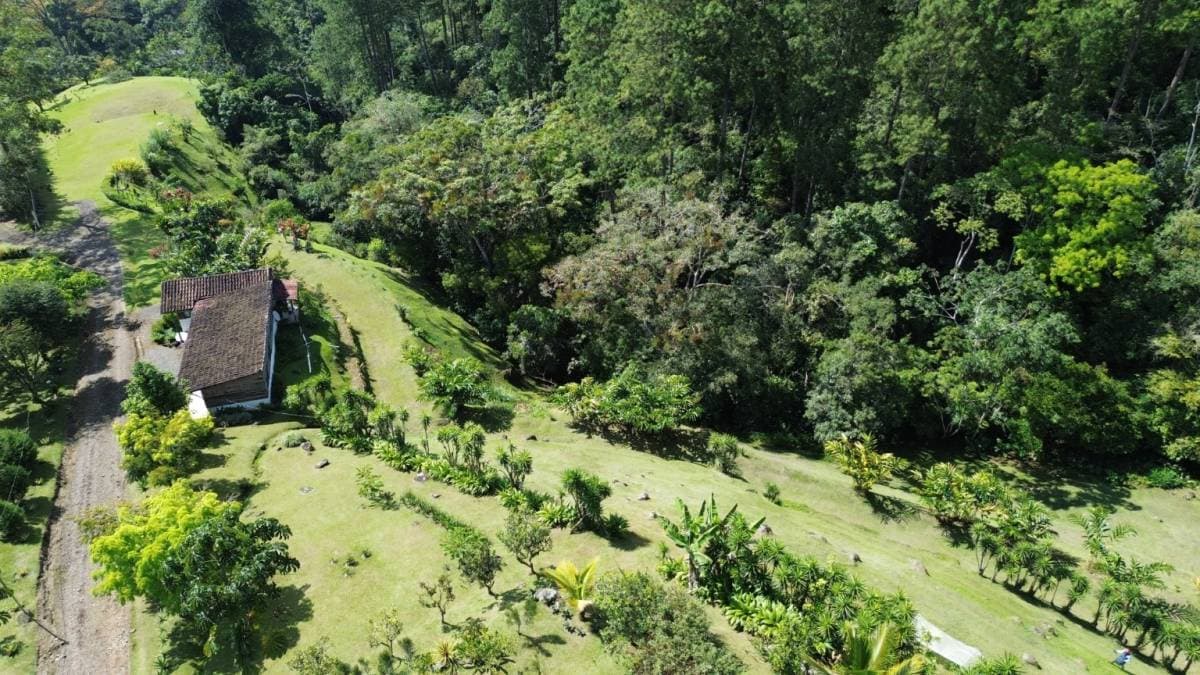 Finca en Juan Viñas