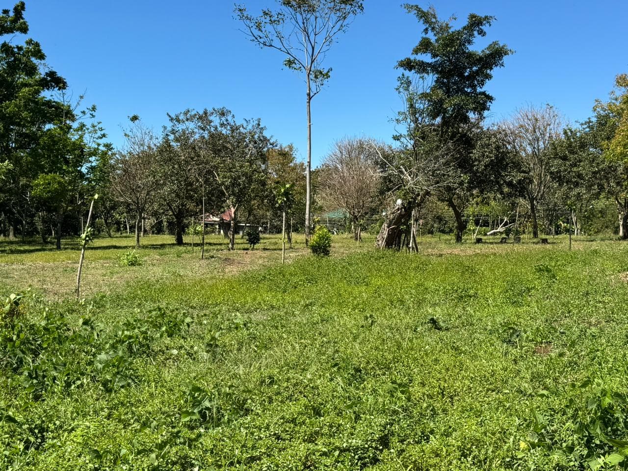 Terreno en Concepción