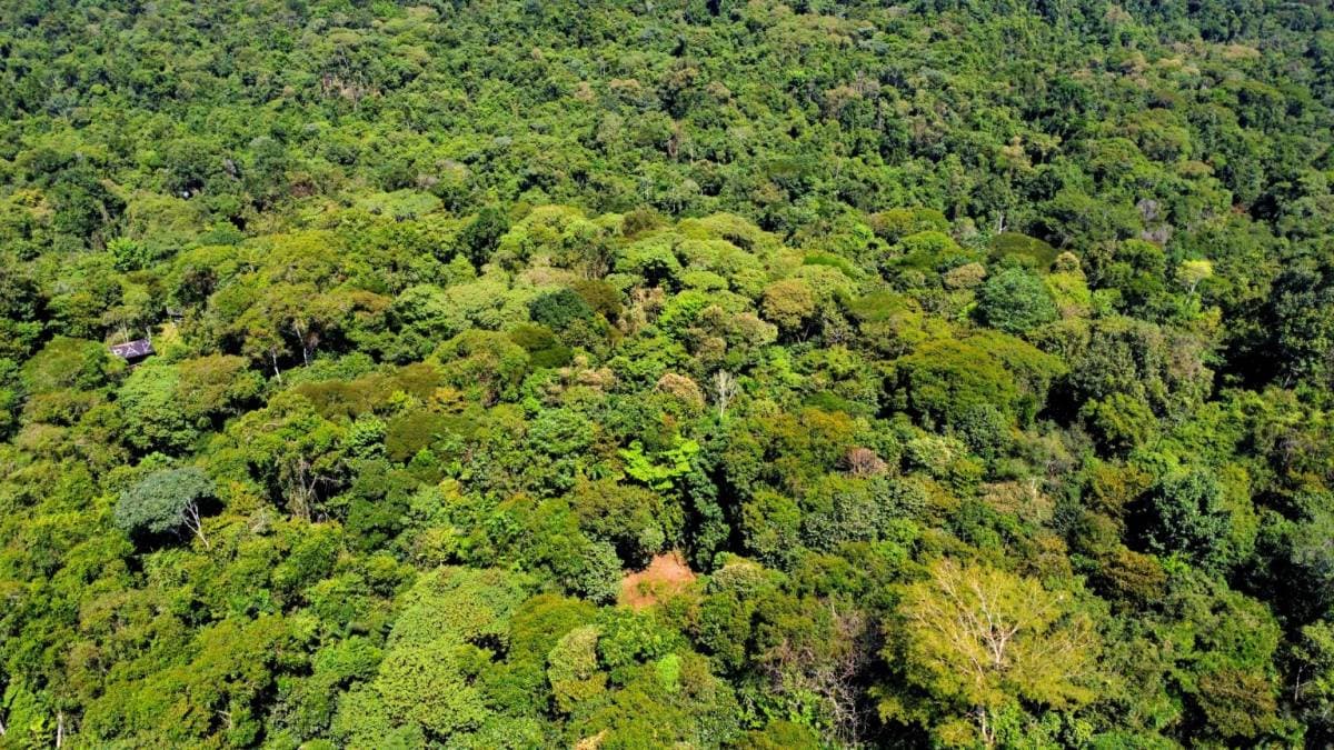 Property at Cajón