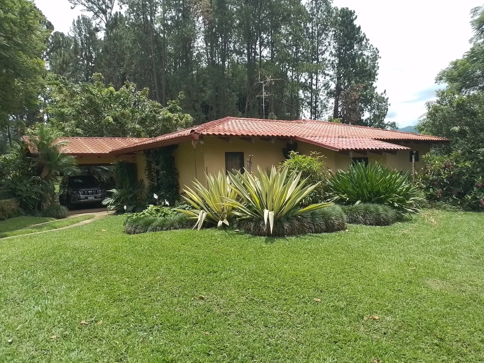 House at Rivas